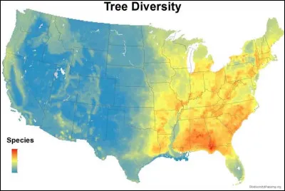 Arbres > On dénombre 640 essences différentes sur l'ensemble du territoire. Combien d'espèces sont-elles recensées dans les zones en bleu foncé ?