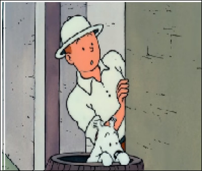 Quelle est la vraie couleur du costume de Tintin sur cette image ?
