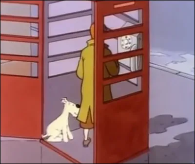 &Agrave; qui Tintin a-t-il tent&eacute; de t&eacute;l&eacute;phoner&nbsp; ?