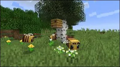 Depuis quand existent les ruches et les abeilles ?