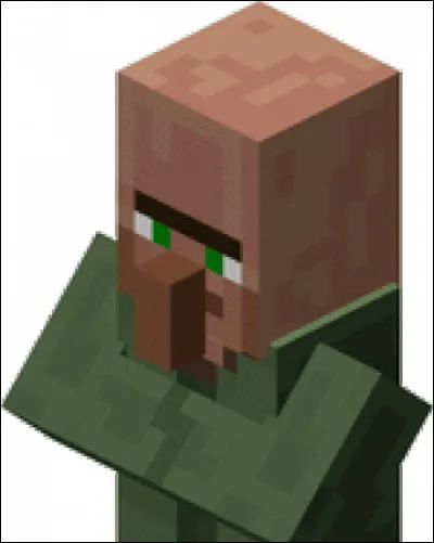 Quels métiers n'existent pas pour un villageois ?