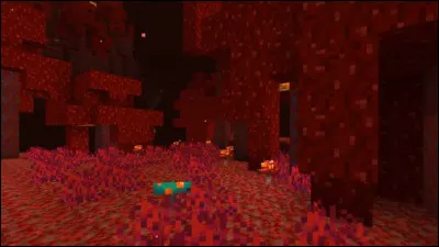 Combien de biomes existe-t-il dans le Nether ?