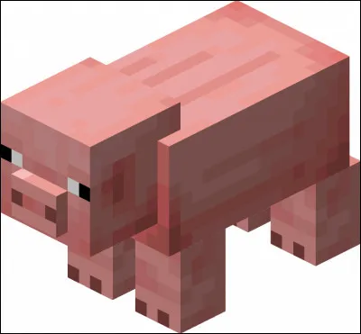 Que mangent les cochons ?