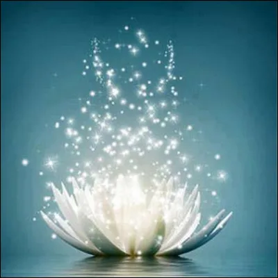 Quellle est ta plus grande qualité ?