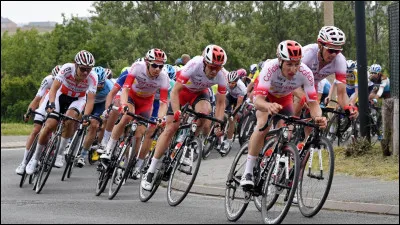 De quelle couleur est le maillot que porte le premier du classement du tour d'Italie ?