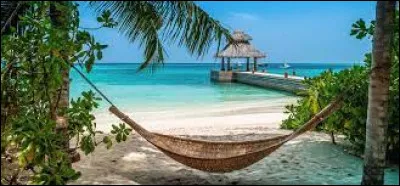 Comment appelle-t-on le chef d'une tribu des Caraïbes, d'Amérique centrale ou du Nord de l'Amérique du Sud ?