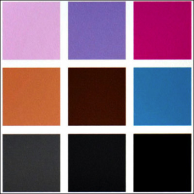 Comme couleur, tu préfères :