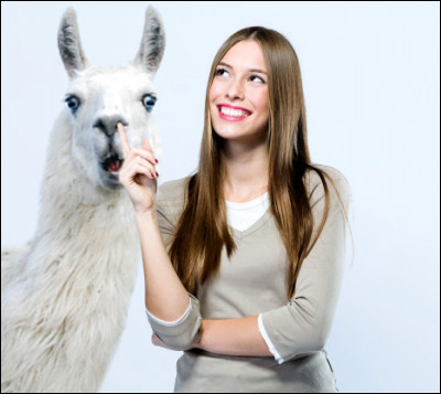 Tu préfères la compagnie des :