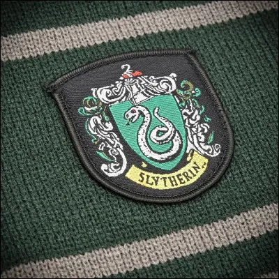 Qui est le fondateur de la maison Serpentard ?