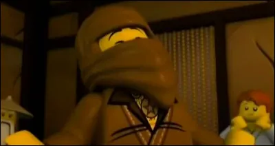 Qui est le ninja brun ?