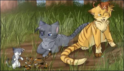 As-tu des chatons/veux-tu en avoir ?