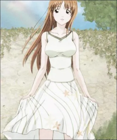 (Orihime Inoue) Quel arrancar la libre lorsqu'elle est retenue dans le Hueco Mundo ?