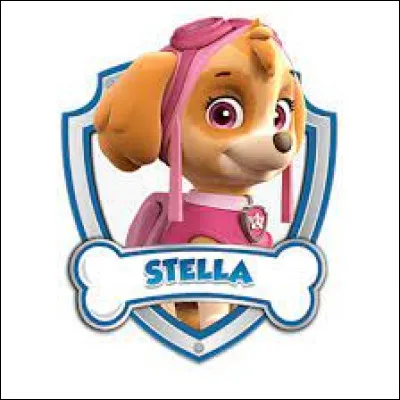 Comment s'appelle ce chien ?