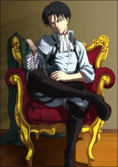 Dans quel manga ce personnage est-il ?