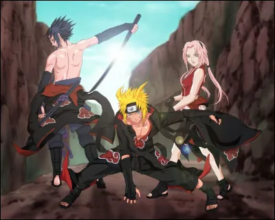 Qui remplace Sasuke ?