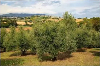 Comment appelle-t-on ce type d'agriculture constituant à mélanger les espèces cultivées entre-elles, avec même des animaux au sein de l'espace cultivé afin que la parcelle s'auto-complémente ?