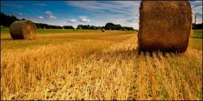 En 2016, les 5 milliards d'hectares de terres agricoles représentaient combien en terres émergées ?