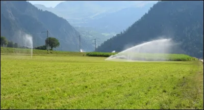 Parmi ces techniques, lesquelles sont des techniques d'irrigation ?