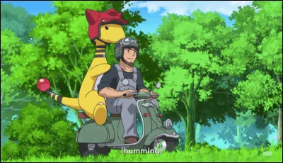 La première île dans "Pokémon" est :
