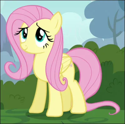 Comment décris-tu Fluttershy ?