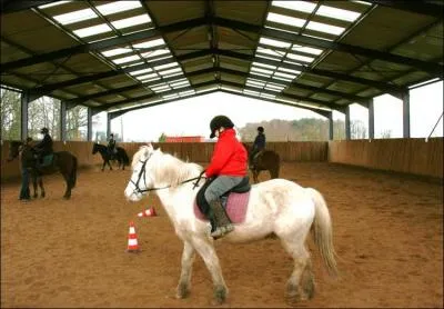 Quel est l'intrus parmi les aides naturelles du cavalier ?