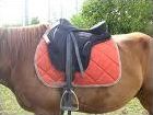 Quiz Galop 2