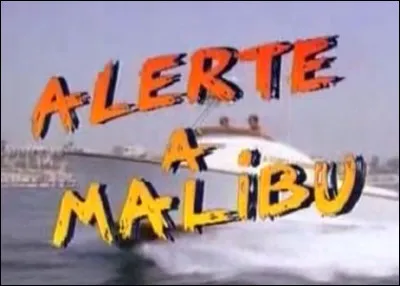 Quel acteur tient le r&ocirc;le principal dans les s&eacute;ries "Alerte &agrave; Malibu" et "K 2000" ?