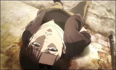 Quel ship détestes-tu le plus ?