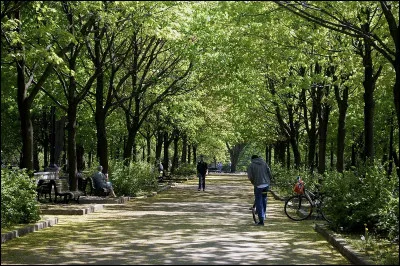 Après l'école ou le travail, que fais-tu ?