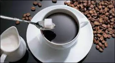 Quel nom d'animal désigne un morceau de sucre trempé dans un liquide ?