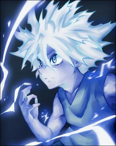 Combien sont-ils dans la famille Zoldyck ?