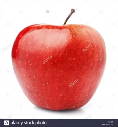 Quelle est ta plus grande qualité ?