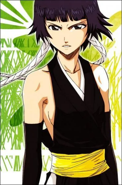(Soi Fon) Quel dessin se forme sur le corps de ses adversaires lorsqu'elle les touche avec son zanpakut ?
