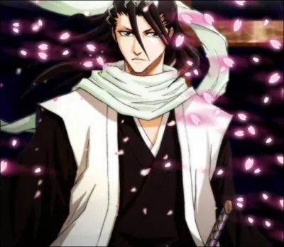 (Byakuya Kuchiki) Avec quel autre capitaine a-t-il le plus d'affinits ?