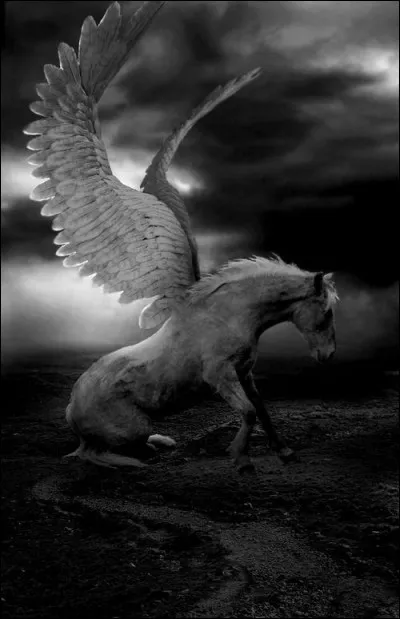 Qui est ce frère ou fils de Pégase ?