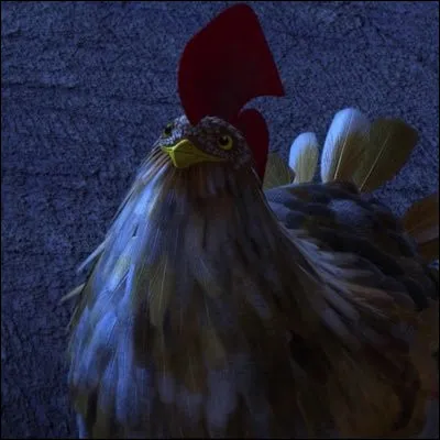 Et pour finir, m&ecirc;me si ce n'est pas un dragon, comment s'appelle ce poulet ?