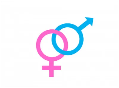 Es-tu une femme ou bien un homme ?