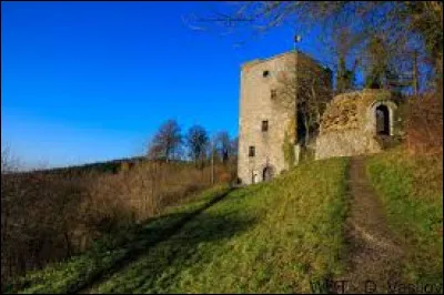 BEAUMONT - Ville de 7 000 habitants environ et connue pour sa tour Salamandre.