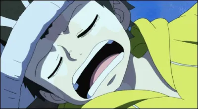 Quand voit-on pour la première fois Trafalgar Law ?