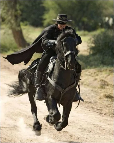 Quel est ce cheval ?