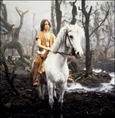 Et pour finir, quel est ce petit cheval blanc ?
