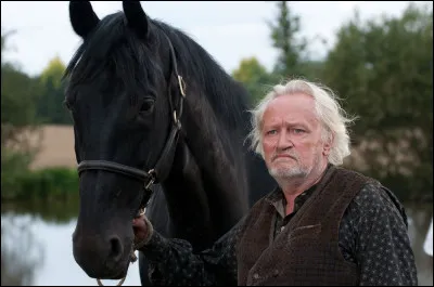 Quel est ce cheval ?