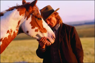 Quel est ce cheval ?