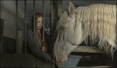 Quel est ce cheval ?