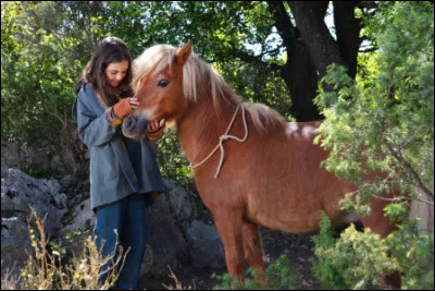Qui est ce mignon petit poney ?