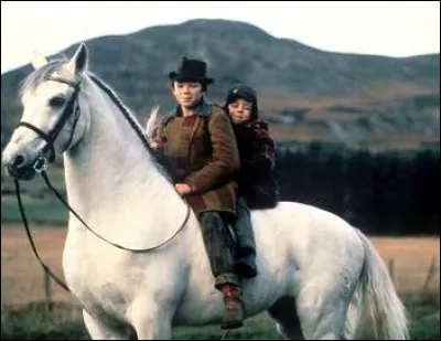 Quel est ce cheval ?