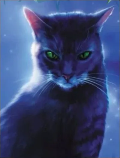 Qui a été son apprenti ?