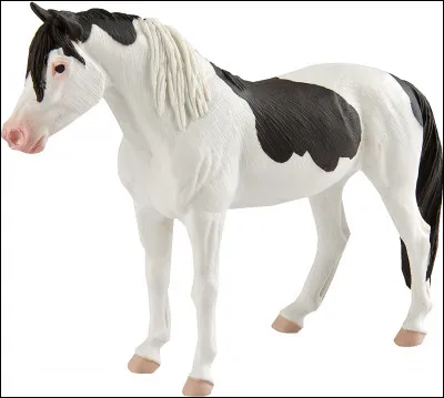 Quelle est la marque de ce cheval ?