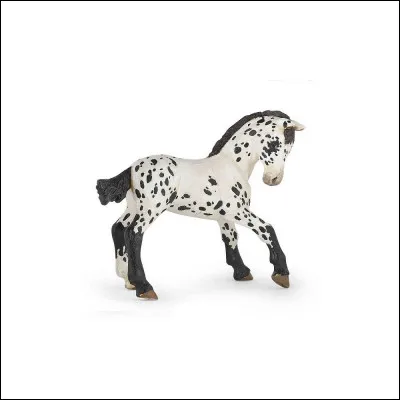 Quelle est la marque de ce poulain ?