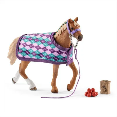 Quelle est la race de cette jument ?